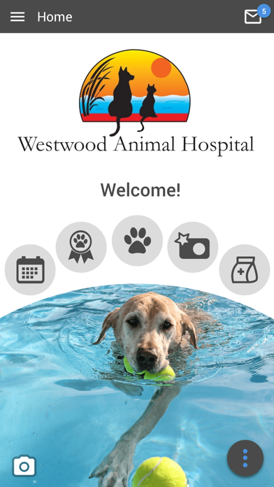 Westwood Animal Hospital Screenshot