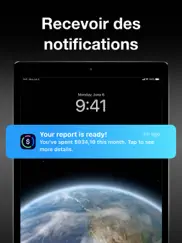 expense air - spending tracker iPad Captures Décran 4