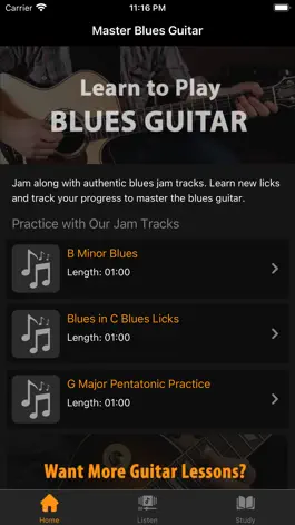 Game screenshot Blues Jam Tracks mod apk