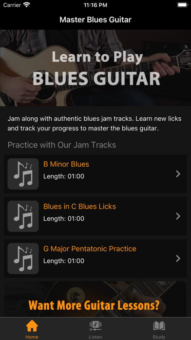 Blues Jam Tracks Screenshot