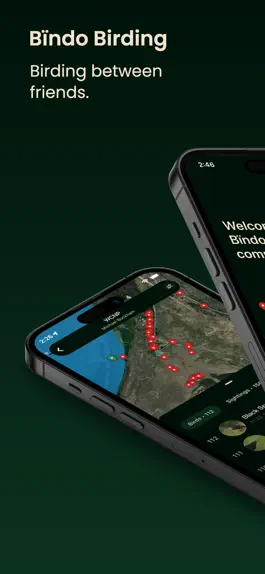 Game screenshot Bïndo Birding mod apk