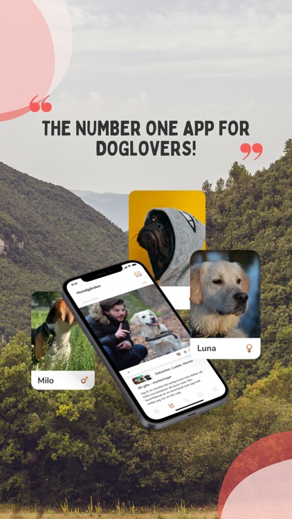 DogDater app screenshot-0
