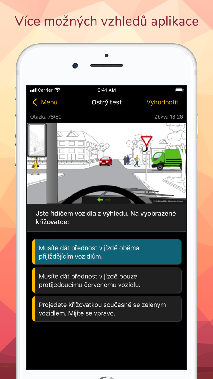 Profesní způsobilost řidiče