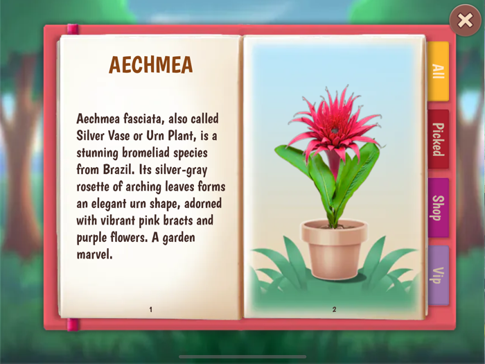 Hidden Objects Flower Quest