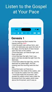 offline kjv holy bible iphone screenshot 4