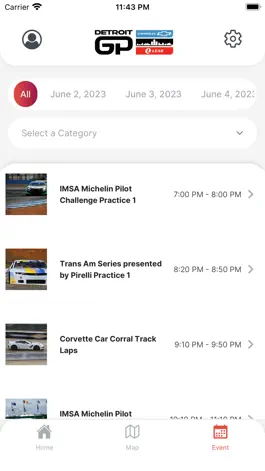 Game screenshot Detroit GP hack