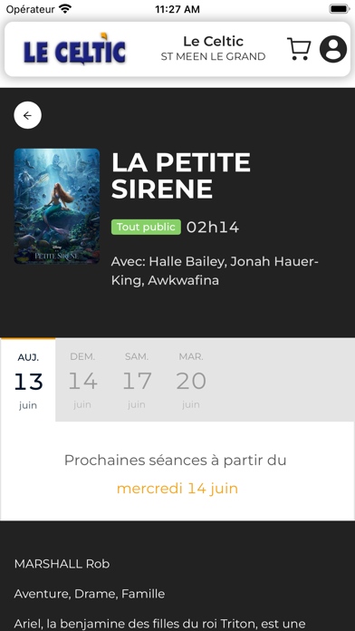 Saint Meen Le Grand Le Celtic Screenshot