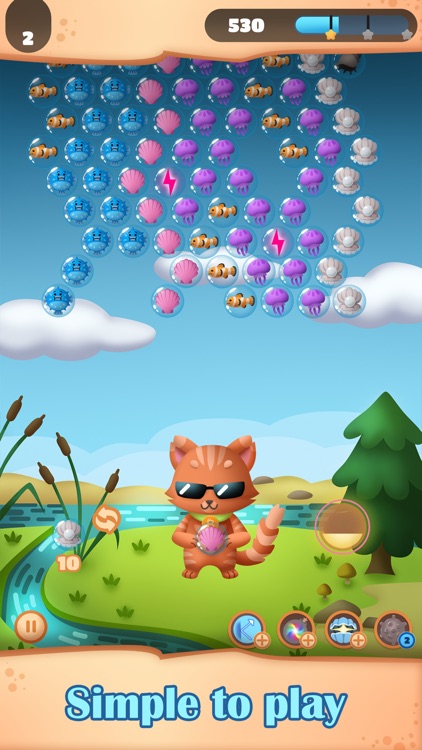 Bitcoin Bay: Bitcoin Bubbles