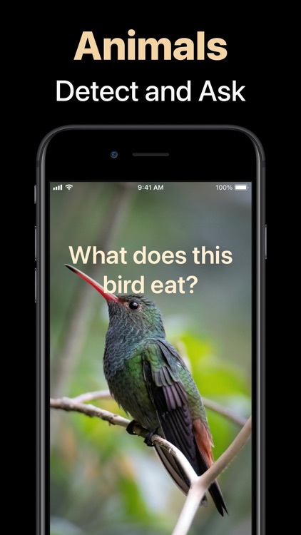 Campedia - AI Camera screenshot-6