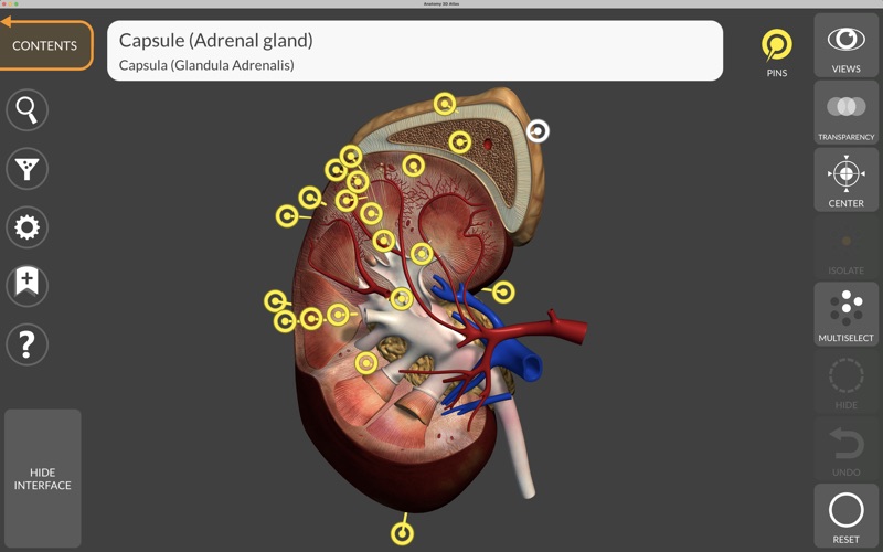 Anatomy 3D Atlas Screenshot