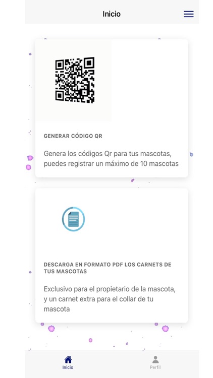 Mascotas Nel Macías