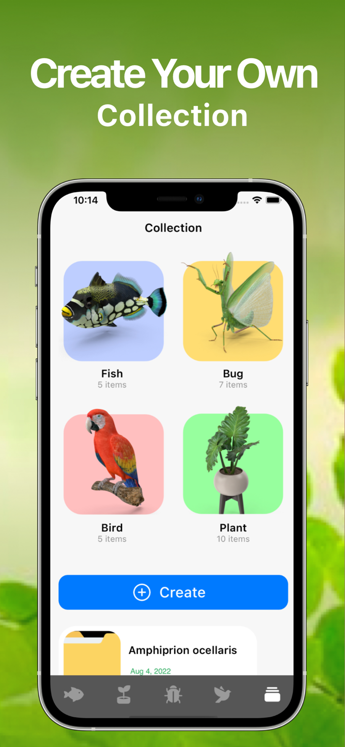 Bird Song Identifier Sounds ID