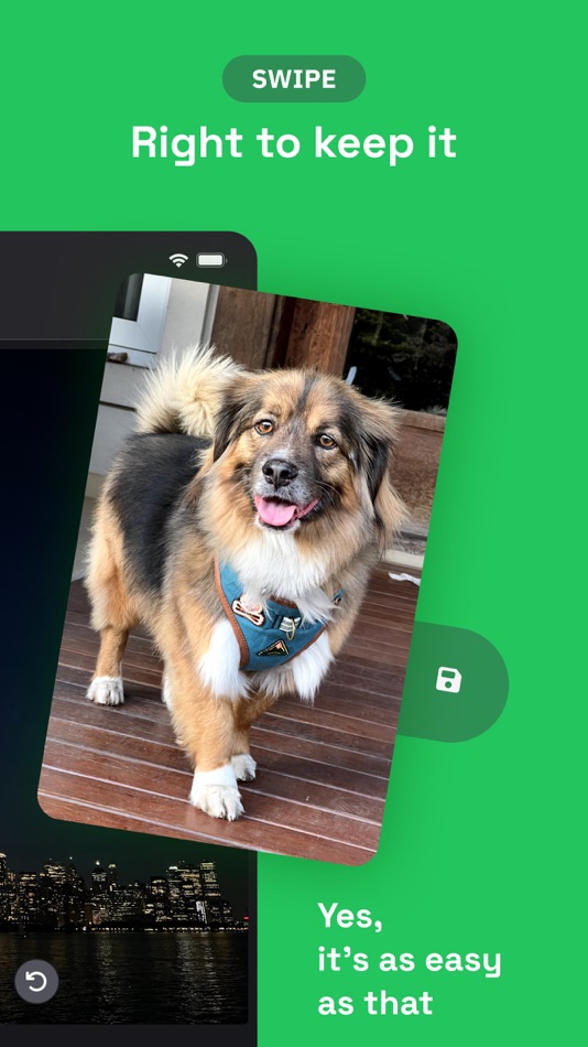 #4. Swipe Delete: Photo Declutter (iOS) 게시자: Gaspar Habif
