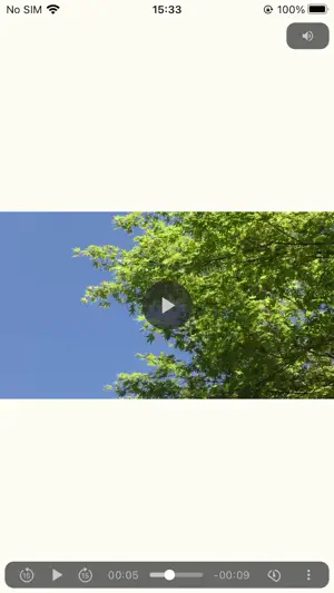 PlayX2 / double-speed playback screenshot 4