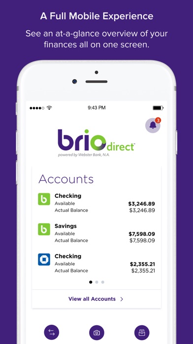BrioDirect Screenshot