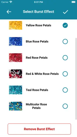 Game screenshot Roses Now - Share Gratitude hack