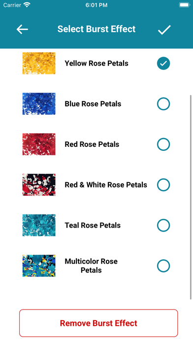 Roses Now - Share Gratitude Screenshot