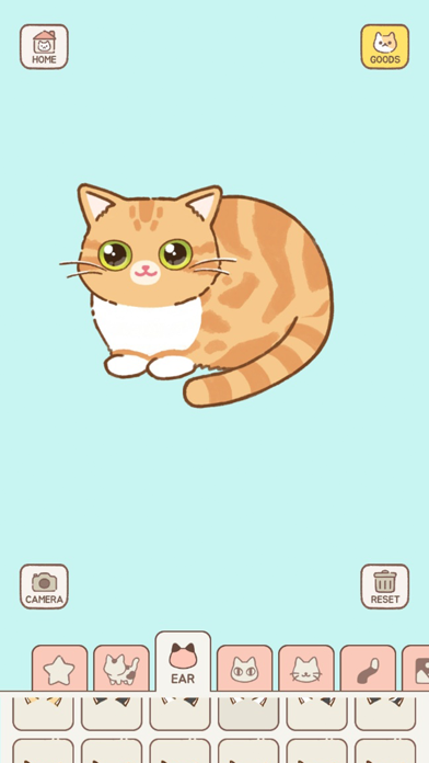 Decorating A Cats Profile Screenshot