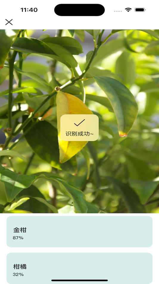 #3. BotanicalGuide (iOS) Podle: Beijing Zhongxiang Enterprise Management Consulting Co., Ltd.