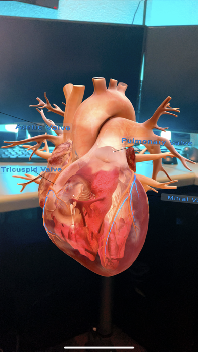 TheHeartPhysiologyApp Screenshot