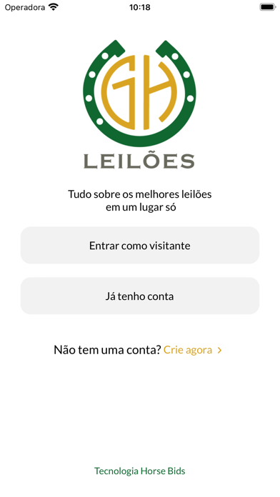 GH Leilões Screenshot