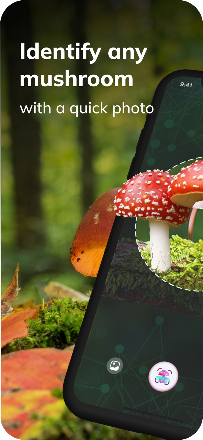 MushroomAI Fungi ID and Guide