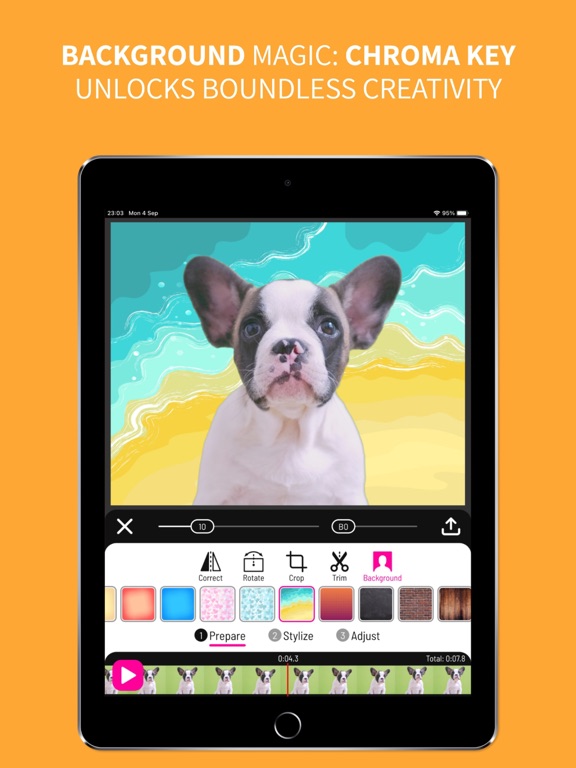 Toonita Video: Cartoon Effects iPad screenshot 4 - Photo & Video app