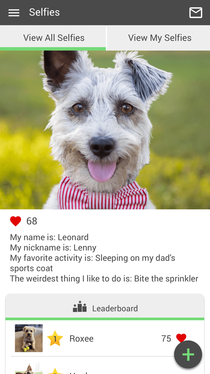 Oak Creek Veterinary Care