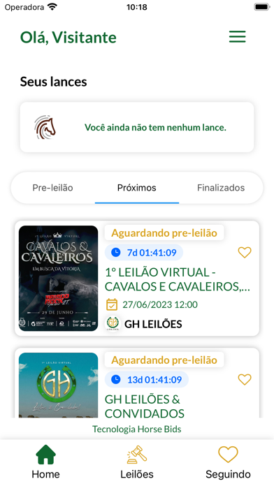 GH Leilões Screenshot
