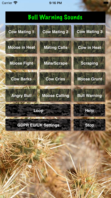 Bull-Cow Moose Hunting Calls Screenshot