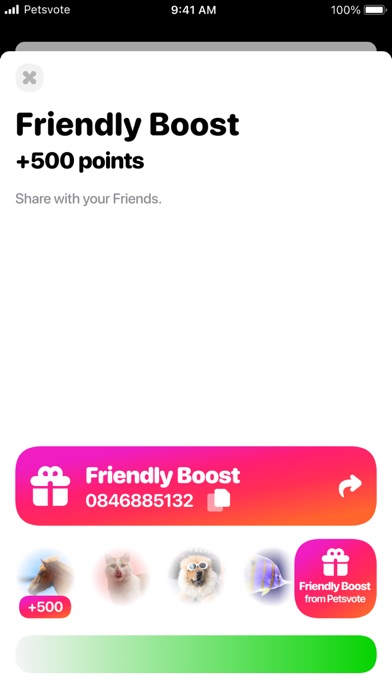 Petsvote Screenshot