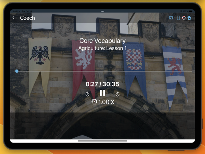 Bluebird Learn Czech