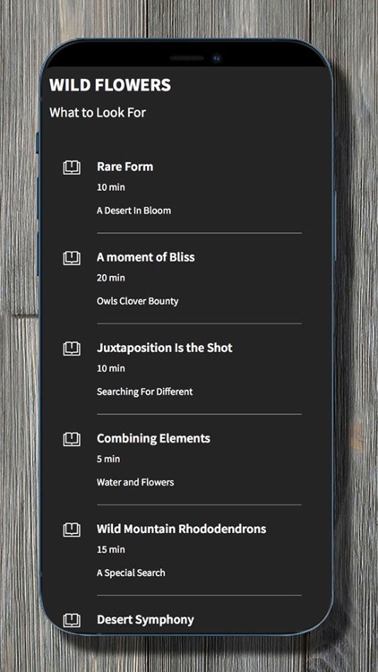 MARLON HOLDEN FINE ART