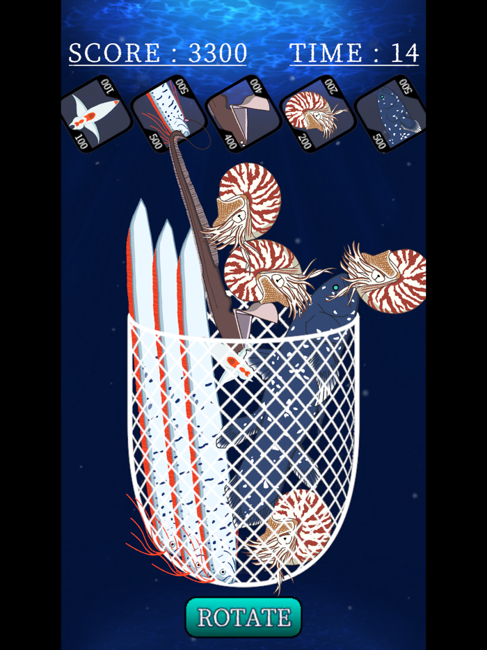 All-You-Can-Pack Sea Creatures