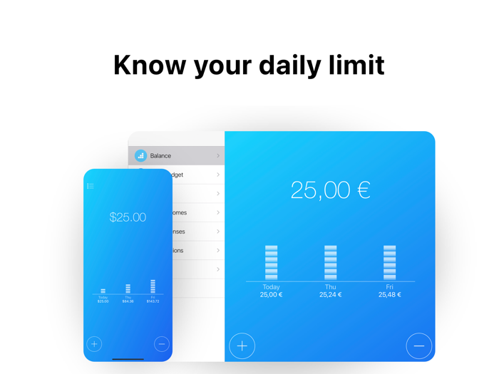 Daily Budget Original Pro