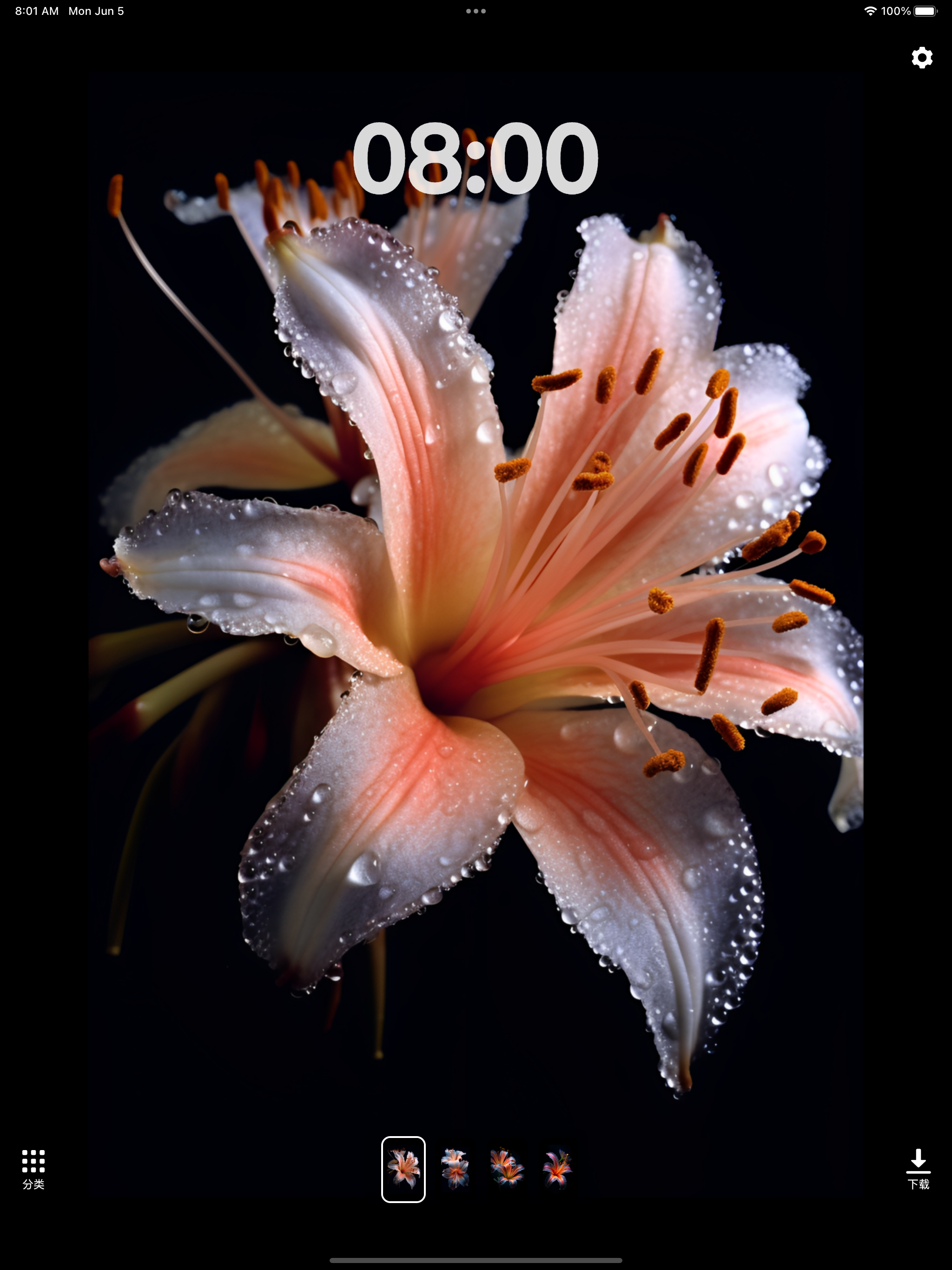 Wallpapers HD for iPhone, 4K