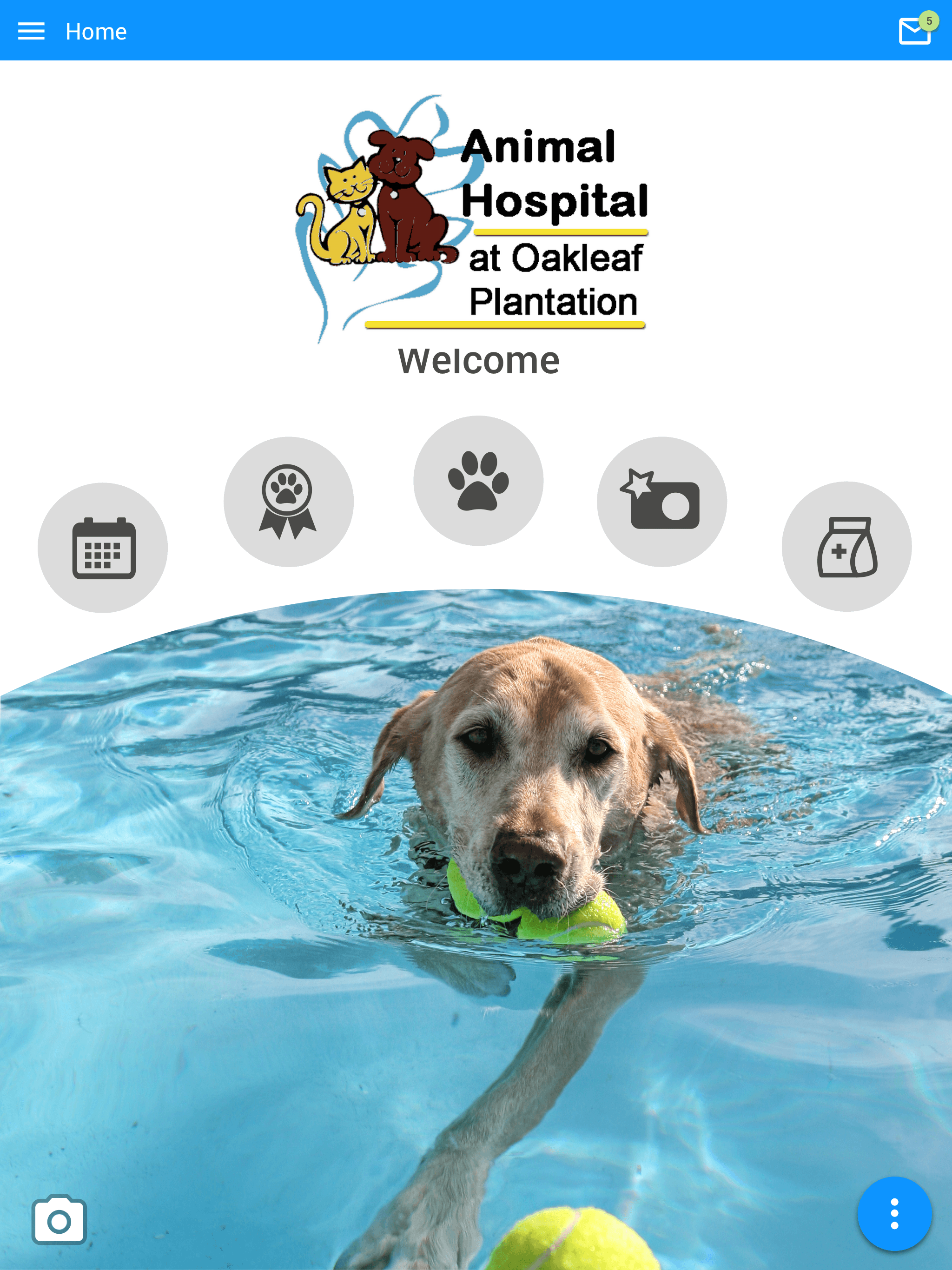 AHOP Vet screenshot 6
