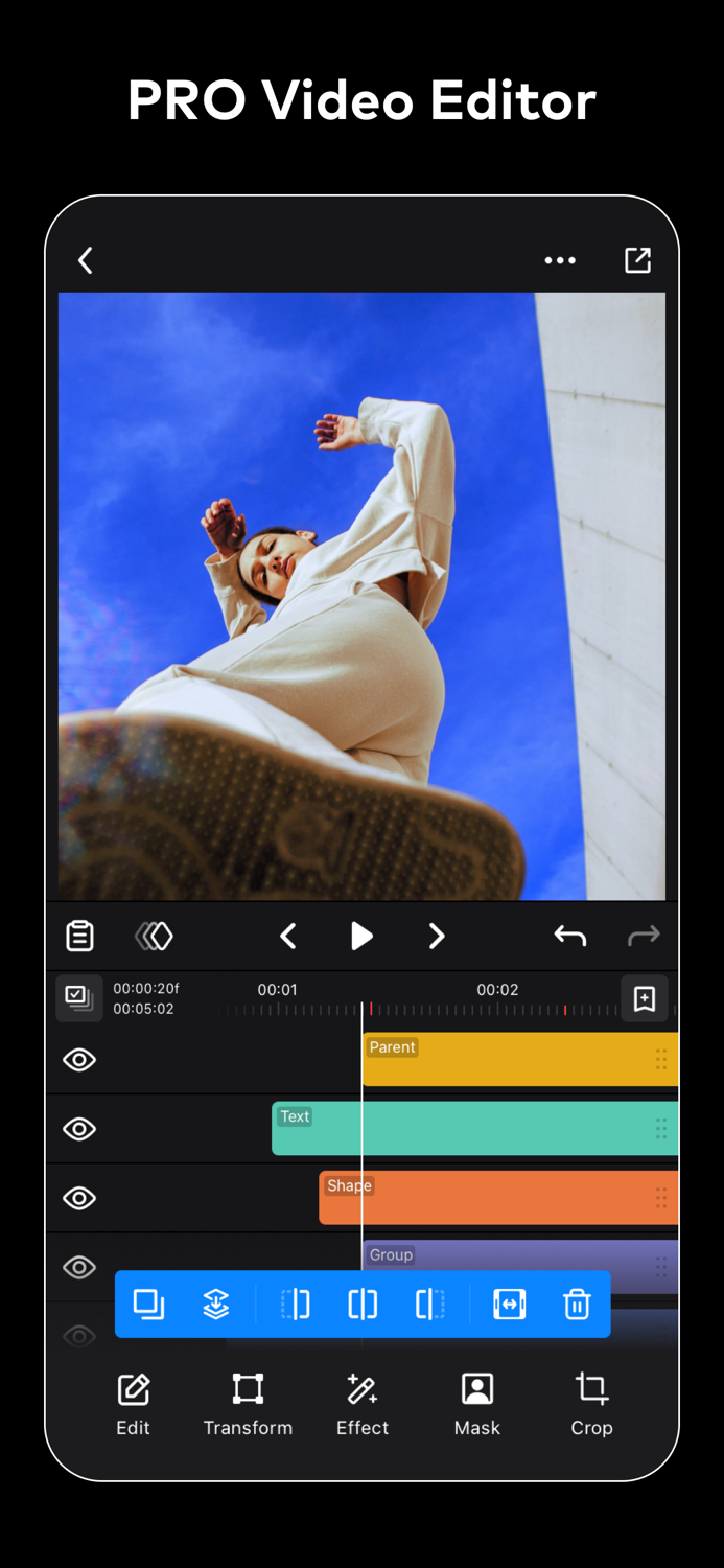 Ivy Professional Video Editor