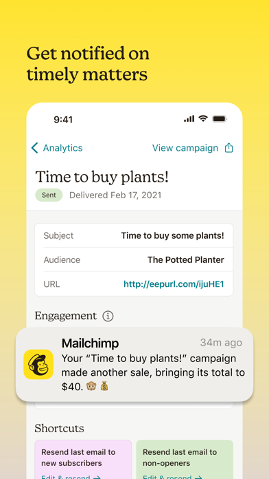 Mailchimp Email Marketing Screenshot