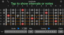 anyscale - tunings & scales problems & solutions and troubleshooting guide - 1