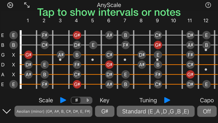 AnyScale - Tunings and Scales