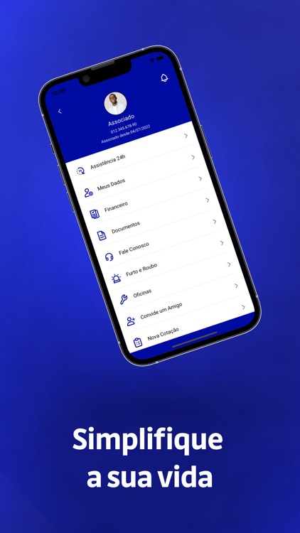 Principal Auto Associados