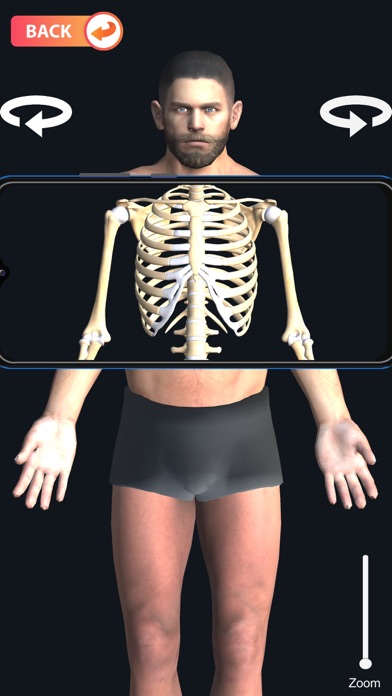 X-ray Body Scanner Game Screenshot