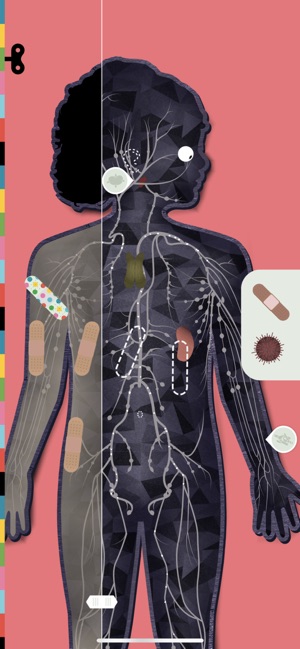 The Human Body by Tinybop on the App Store