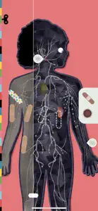 The Human Body by Tinybop screenshot #12 for iPhone