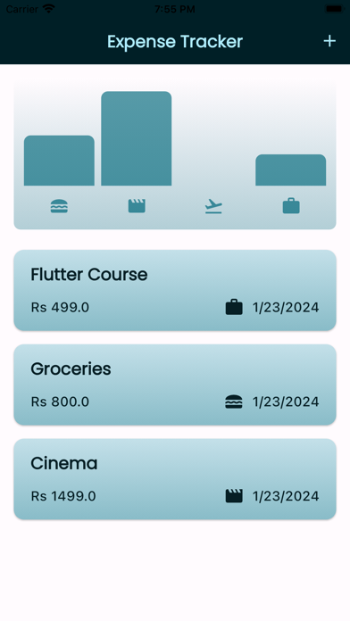Expenditure Screenshot