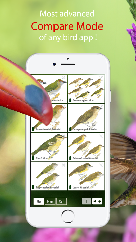 #7. All Birds Colombia field guide (iOS) Podle: Sunbird Images OHG