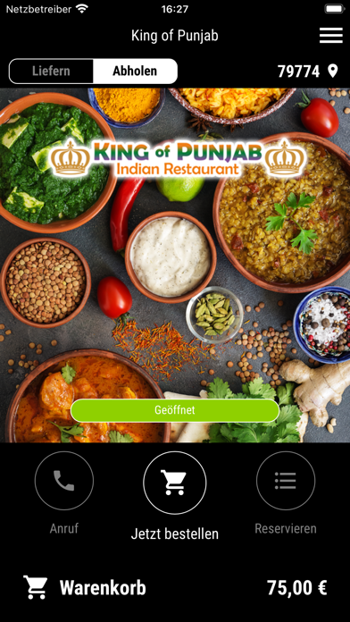 King of Punjab Screenshot