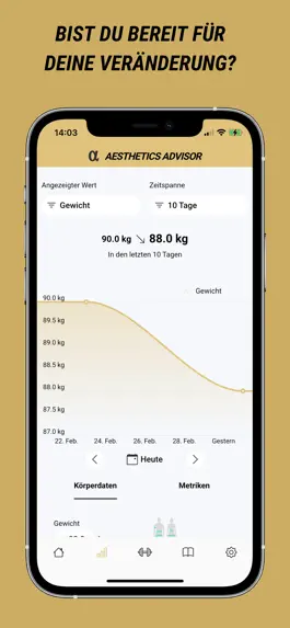Game screenshot Aesthetics Advisor apk