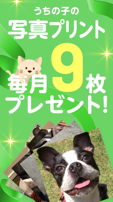 うちっ子ログ:犬や猫のペットお世話日記＆健康管理アプリのおすすめ画像2